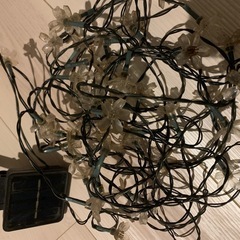 ソーラー・イルミネーションライトの画像