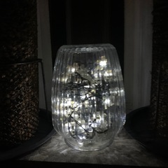 ソーラー・イルミネーションライトの画像