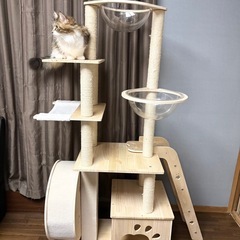 ランニングホイール付き　キャットタワーの画像