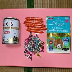 猫ちゃんのおやつパート2の画像