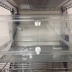 GEX グラスハーモーニー 600 セットの画像