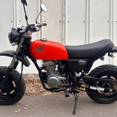 【動画あり】エイプ50 インジェクション AC16 原付マニュアル車の画像