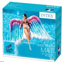 浮き輪　エンジェルウイングの画像