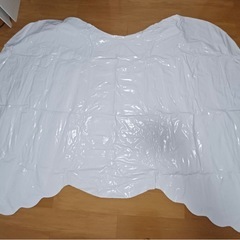 浮き輪　エンジェルウイングの画像