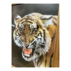 虎 絵画の画像