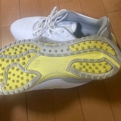 【決まりました】TIGORA ゴルフシューズ メンズ27.5cmの画像