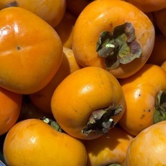 渋柿1kg〜2kgの画像