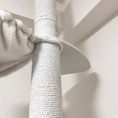 キャットタワー無料 0円の画像