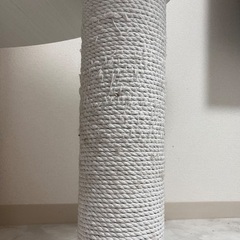 キャットタワー無料 0円の画像
