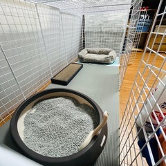 猫用ケージ(簡易組立) の画像