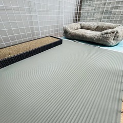 猫用ケージ(簡易組立) の画像