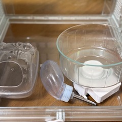 グラスハーモニー 30CUBE ハムスターケージ ゲージの画像