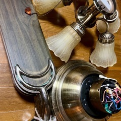 シーリングファンライトの画像