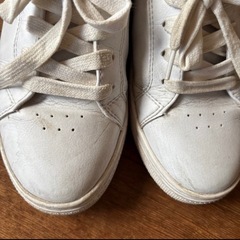 お話中　トミーヒルフィガースニーカー　23.5の画像