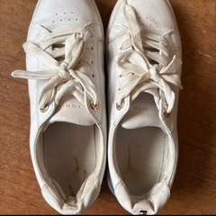 お話中　トミーヒルフィガースニーカー　23.5の画像