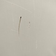 IKEA　EXPEDITシェルフユニットの画像