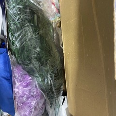 クリスマスツリーの画像