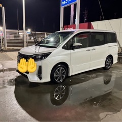 ノア80 特別仕様車の画像