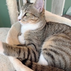 【クミン】遊ぶこと大好きです！