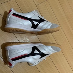 フットサルシューズの画像