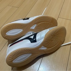 フットサルシューズの画像