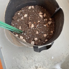 園芸用の土の画像