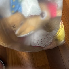 おもちゃとぬいぐるみ　の画像