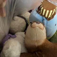 おもちゃとぬいぐるみ　の画像