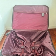 キャリー　大きめの画像