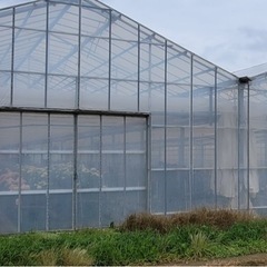 畑,田んぼ、ハウスビニールの画像