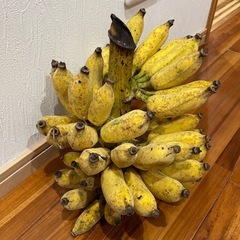 アップルバナナの画像