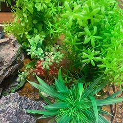 水槽内飾り8点セット🐠美品の画像