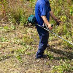 🌿草刈り・草むしり・雑草処置など便利屋セイロンへお任せ下さい