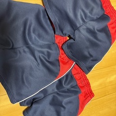 たつみ幼稚園 たつみ第二幼稚園 体操服 はん半ズボンの画像