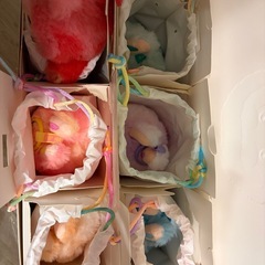 ラブブ　エナジー　POPMART正規品
の画像