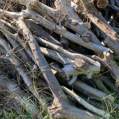 薪材などにの画像