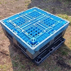 パレット②の画像