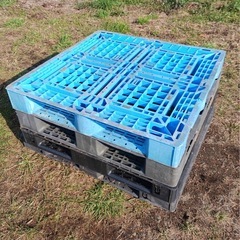 パレット②の画像