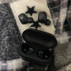 完全ワイヤレスイヤホン　GRFD-SWE300TAの画像