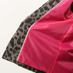 BEAMS LIGHTSの画像