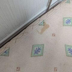 FRANCEBED　フランスベッド　シングルの画像