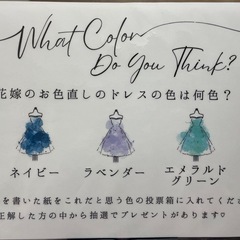 ドレス 色当てクイズ セットの画像