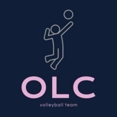 男女混合バレーメンバー募集