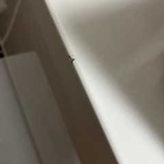 テレビ台　テレビボード　ホワイトの画像