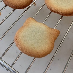 2025-2026 冬の親子パン教室の画像