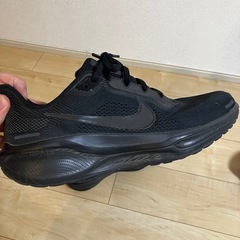 NIKE ペガサス41の画像