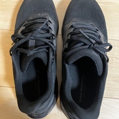 NIKE ペガサス41の画像