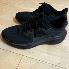 NIKE ペガサス41の画像