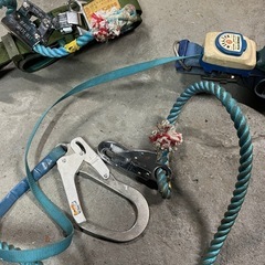 胴綱　命綱　の画像