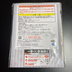 ポケットモンスター ポケモン ぴかちゅくピカチュウの画像